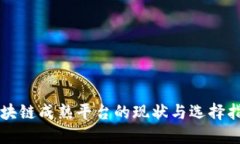 区块链成熟平台的现状与选择指南