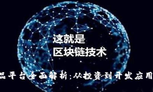 海外区块链产品平台全面解析：从投资到开发应用，热门平台推荐