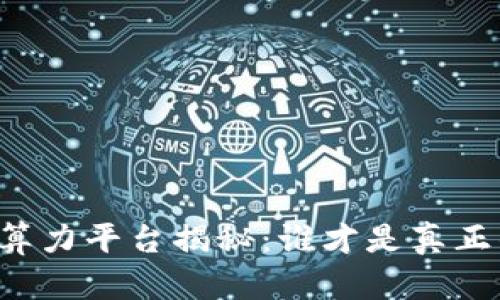 区块链最大算力平台揭秘：谁才是真正的算力王者？