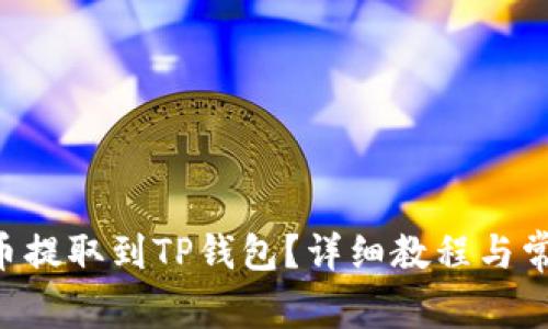 如何将VNT币提取到TP钱包？详细教程与常见问题解答