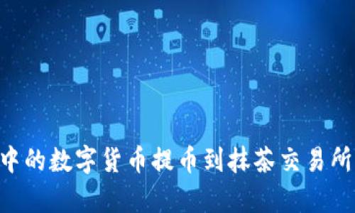 如何将TP钱包中的数字货币提币到抹茶交易所，详细步骤解析