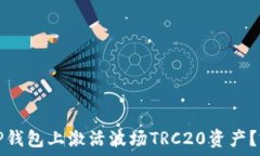   如何在TP钱包上激活波场TRC20资产？完整指南