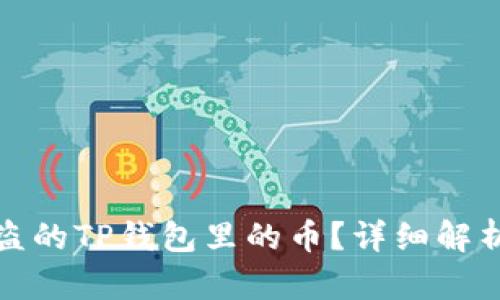 如何找回被盗的TP钱包里的币？详细解析与应对策略