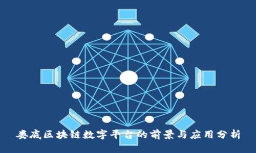 娄底区块链数字平台的前景与应用分析
