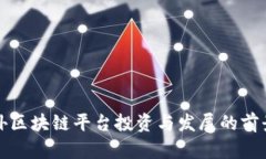 在国外区块链平台投资与发展的前景分析