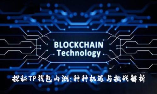探秘TP钱包内测：种种机遇与挑战解析