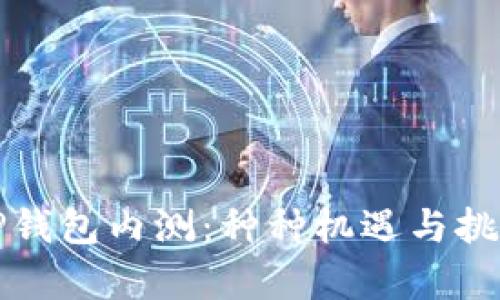 探秘TP钱包内测：种种机遇与挑战解析