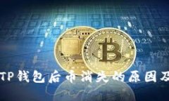 重新下载TP钱包后币消失的原因及解决方案