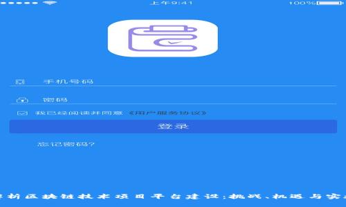 全面解析区块链技术项目平台建设：挑战、机遇与实施策略