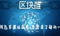 TP钱包苹果版国服：您需要了解的一切
