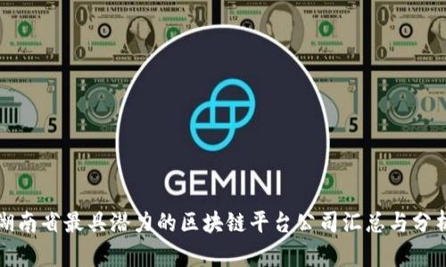 湖南省最具潜力的区块链平台公司汇总与分析