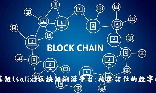 智真链(salix)区块链溯源平台：构建信任的数字桥梁