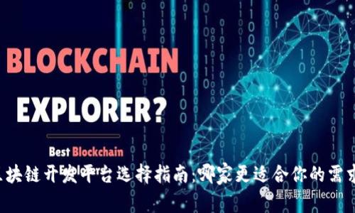区块链开发平台选择指南：哪家更适合你的需求？