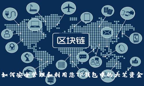 如何安全管理和利用您TP钱包中的大笔资金