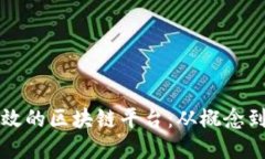 如何开发一个高效的区块链平台：从概念到实施