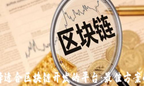 
选择适合区块链开发的平台：最佳方案解析