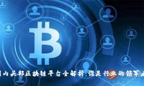 国内头部区块链平台全解析：谁是行业的领军者？