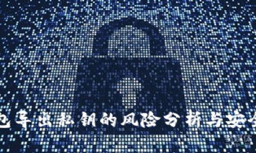 TP钱包导出私钥的风险分析与安全防护