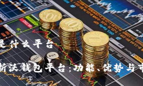 沃钱包是什么平台

全面解析沃钱包平台：功能、优势与市场前景