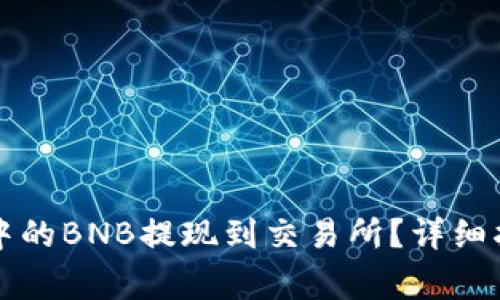 如何将TP钱包中的BNB提现到交易所？详细指南与注意事项