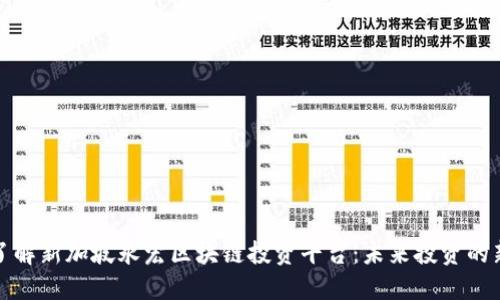 深入了解新加坡永宏区块链投资平台：未来投资的新机遇