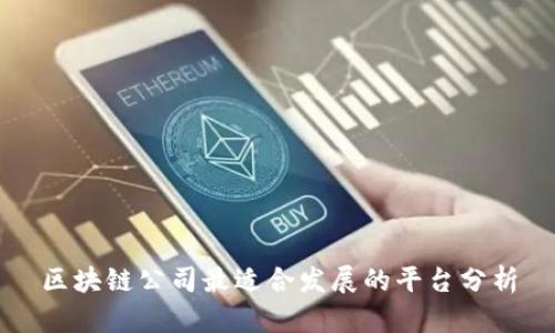 区块链公司最适合发展的平台分析