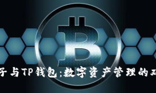 麦子与TP钱包：数字资产管理的双骄