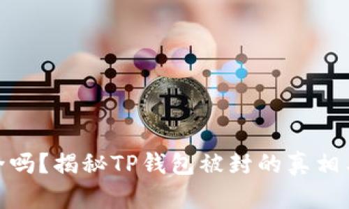 TP钱包安全吗？揭秘TP钱包被封的真相与防范措施