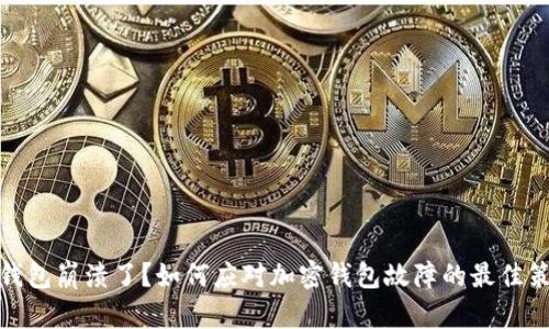 TP钱包崩溃了？如何应对加密钱包故障的最佳策略
