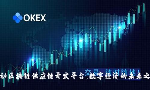 揭秘区块链供应链开发平台：数字经济的未来之路