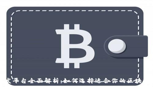 区块链开发平台全面解析：如何选择适合你的区块链开发环境