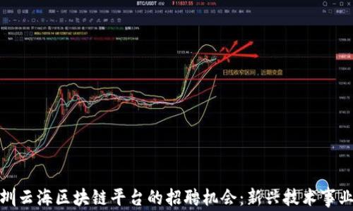 
探索深圳云海区块链平台的招聘机会：新兴技术事业的跳板