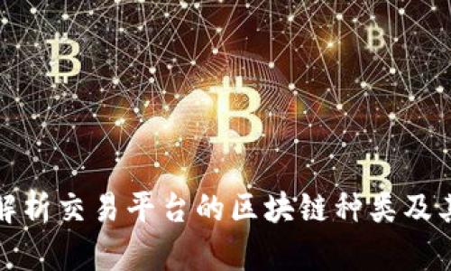 全面解析交易平台的区块链种类及其优势