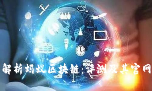 全面解析蚂蚁区块链：评测及其官网详解
