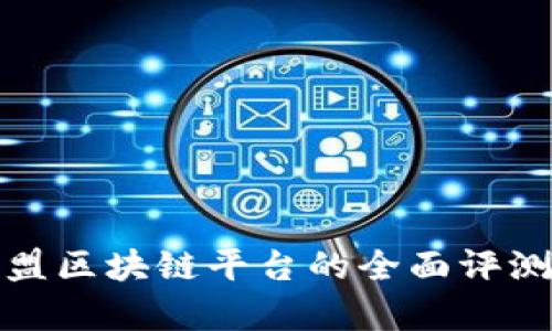 运动联盟区块链平台的全面评测与分析