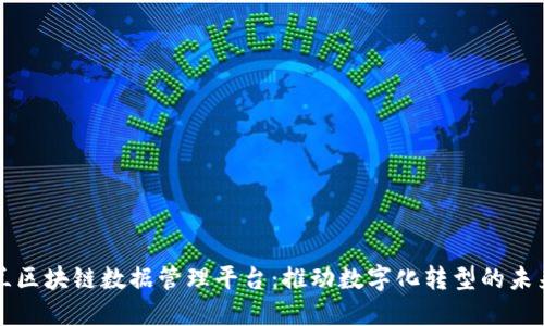 新西兰区块链数据管理平台：推动数字化转型的未来之路