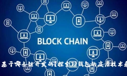 t p钱包是基于哪条链开发的？探索TP钱包的底层技术和应用场景