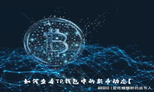如何查看TP钱包中的新币动态？