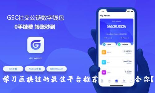 学习区块链的最佳平台推荐：哪一个适合你？