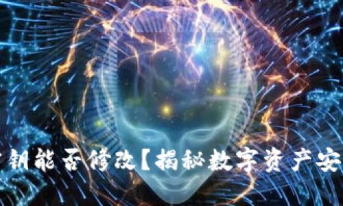 TP钱包密钥能否修改？揭秘数字资产安全的秘密