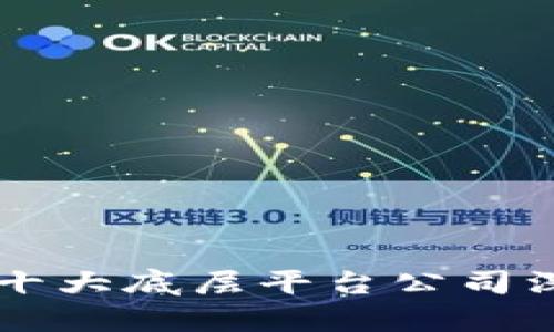 区块链十大底层平台公司深度解析