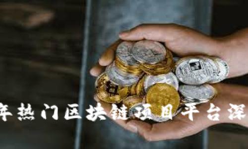 2023年热门区块链项目平台深度解析