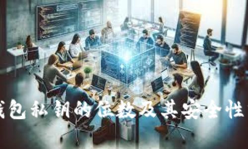 TP钱包私钥的位数及其安全性分析