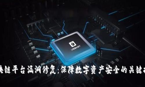 区块链平台漏洞修复：保障数字资产安全的关键技术