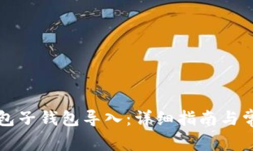 如何将TP钱包子钱包导入：详细指南与常见问题解答