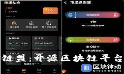 探索金链盟：开源区块链平台的未来