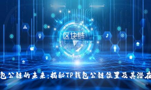 TP钱包公链的未来：揭秘TP钱包公链位置及其潜在价值