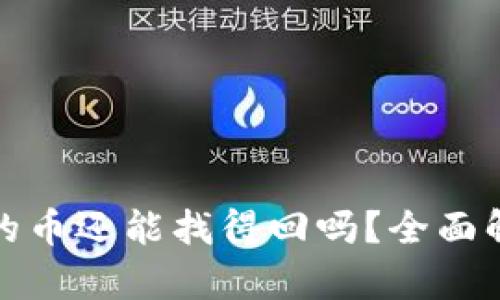 TP钱包转出去的币还能找得回吗？全面解析与解决方案