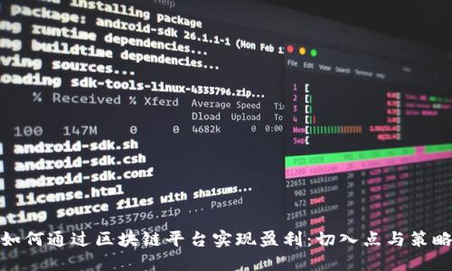 如何通过区块链平台实现盈利：切入点与策略