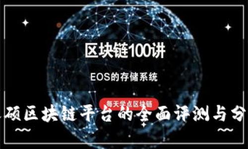 天硕区块链平台的全面评测与分析